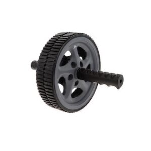 GYM AB WHEEL