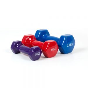 Vinyl dumbbell
