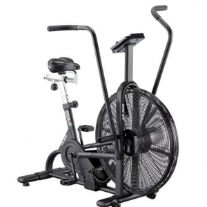 AIR BIKE (COMMERCIAL)