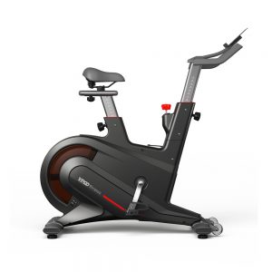 Spin Bike (YP-D5)
