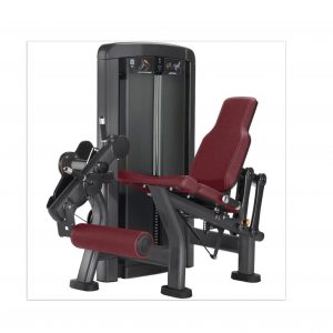 Leg Extension XH9-05 (1670*1060*1480)