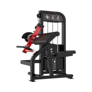 Bicep & Triceps Machine