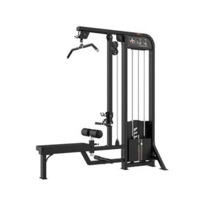 Lat Pull Down & Low Row