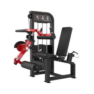 Leg Extension & Leg Curl Machine