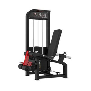 Seated Leg Extension